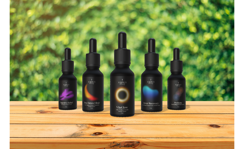 🌿 How to Approach Healing with Herbal Extracts