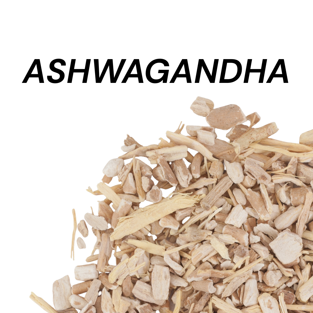 Herbal Allies Winter Solstice