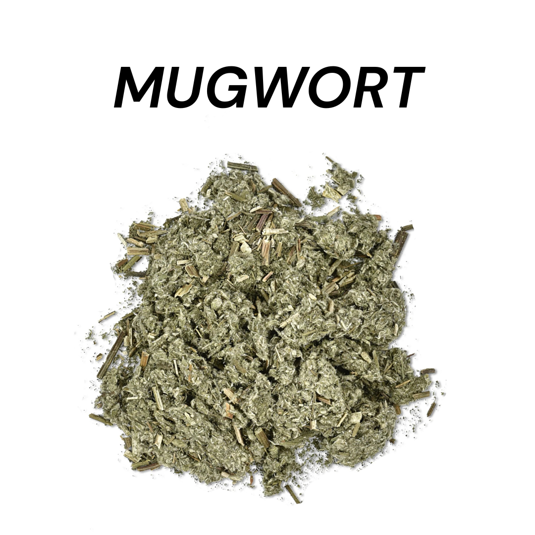 Herbal Allies Winter Solstice