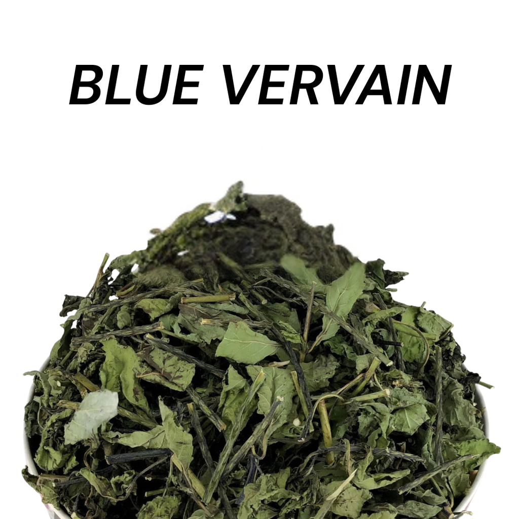 Herbal Allies Winter Solstice